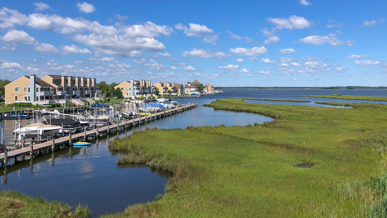 Photo of Others in North Ocean City