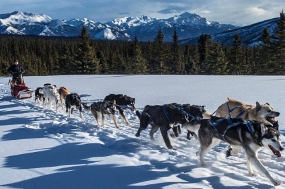 Photo of Others in Alyeska