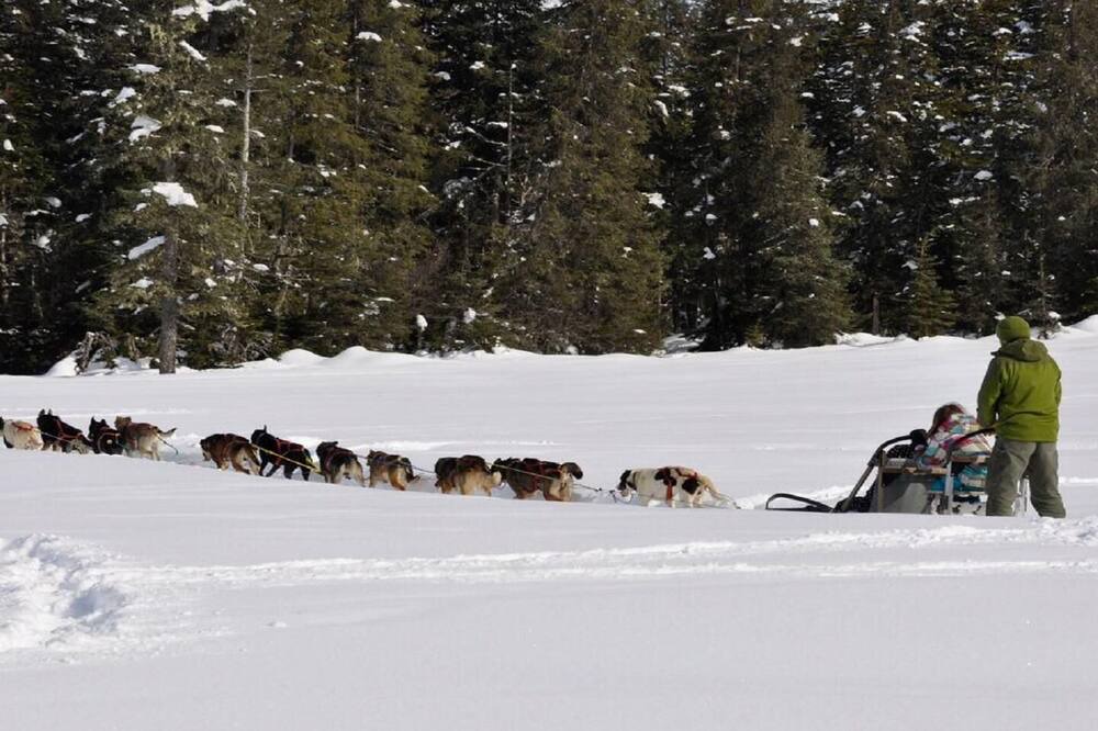 Photo of Others in Alyeska