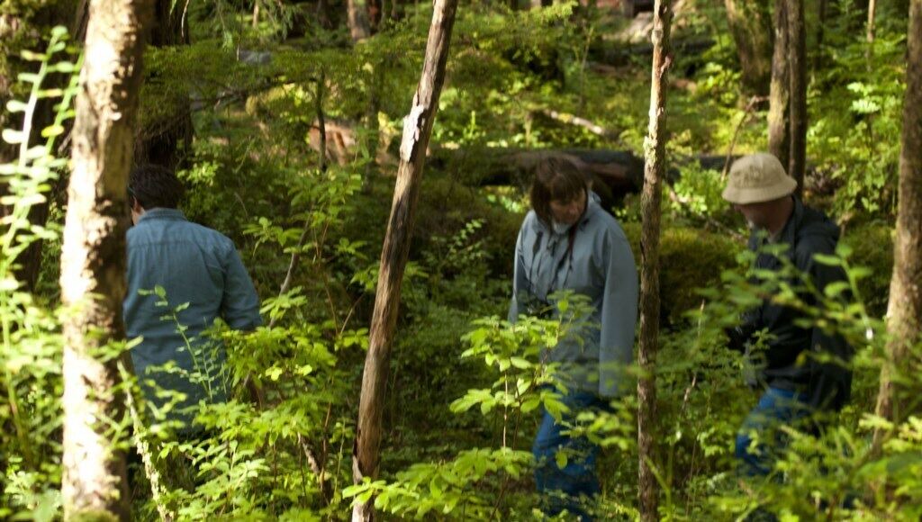 Photo of Outdoor in Mendenhall Valley