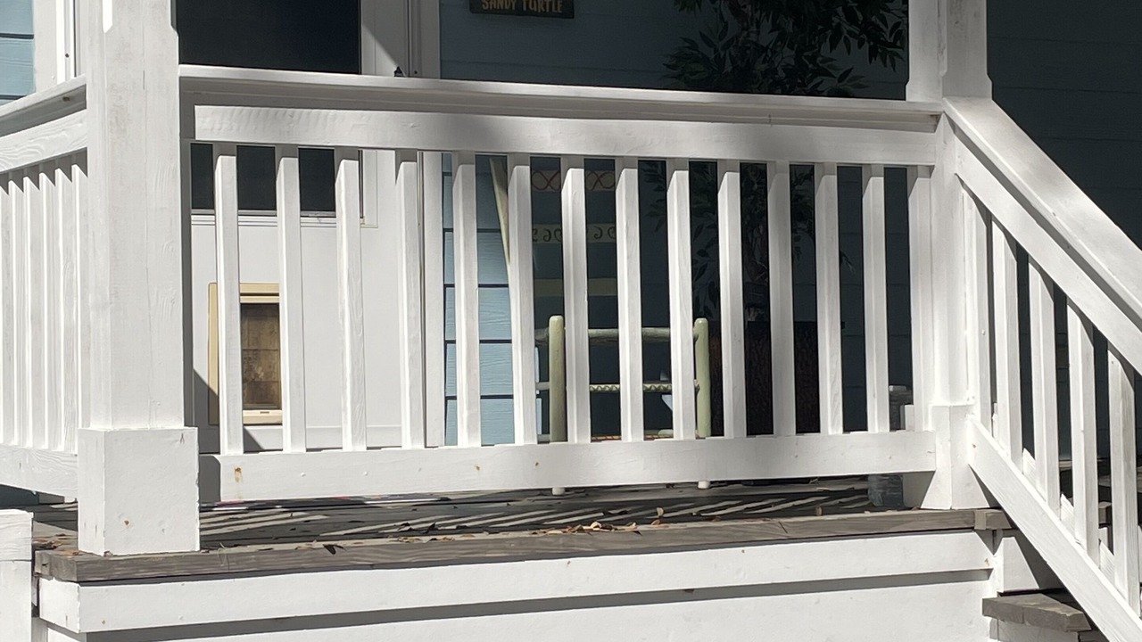Photo of Outdoor in Port Royal