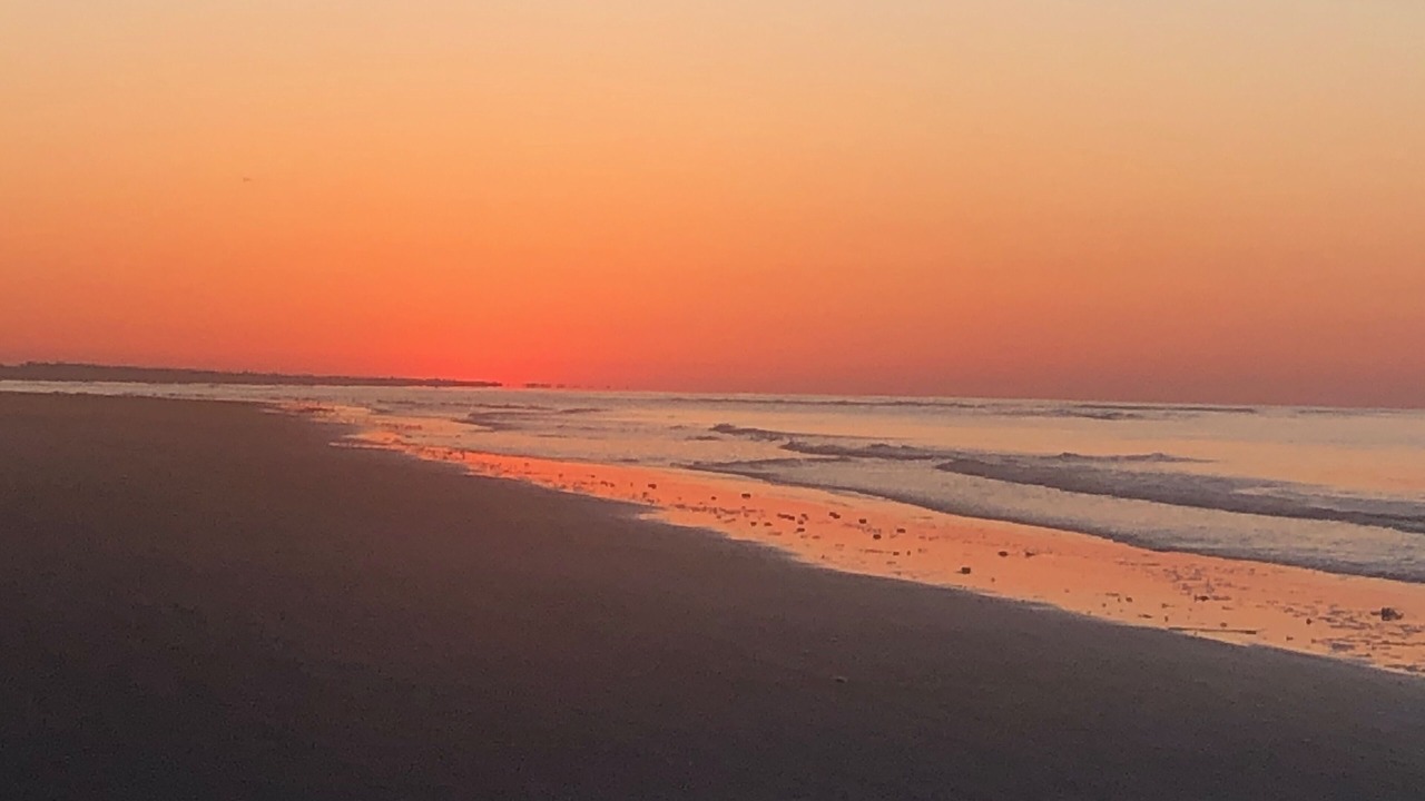 Photo of Others in Seabrook Island