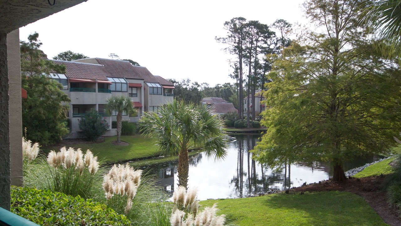 Photo of Outdoor in Palmetto Dunes