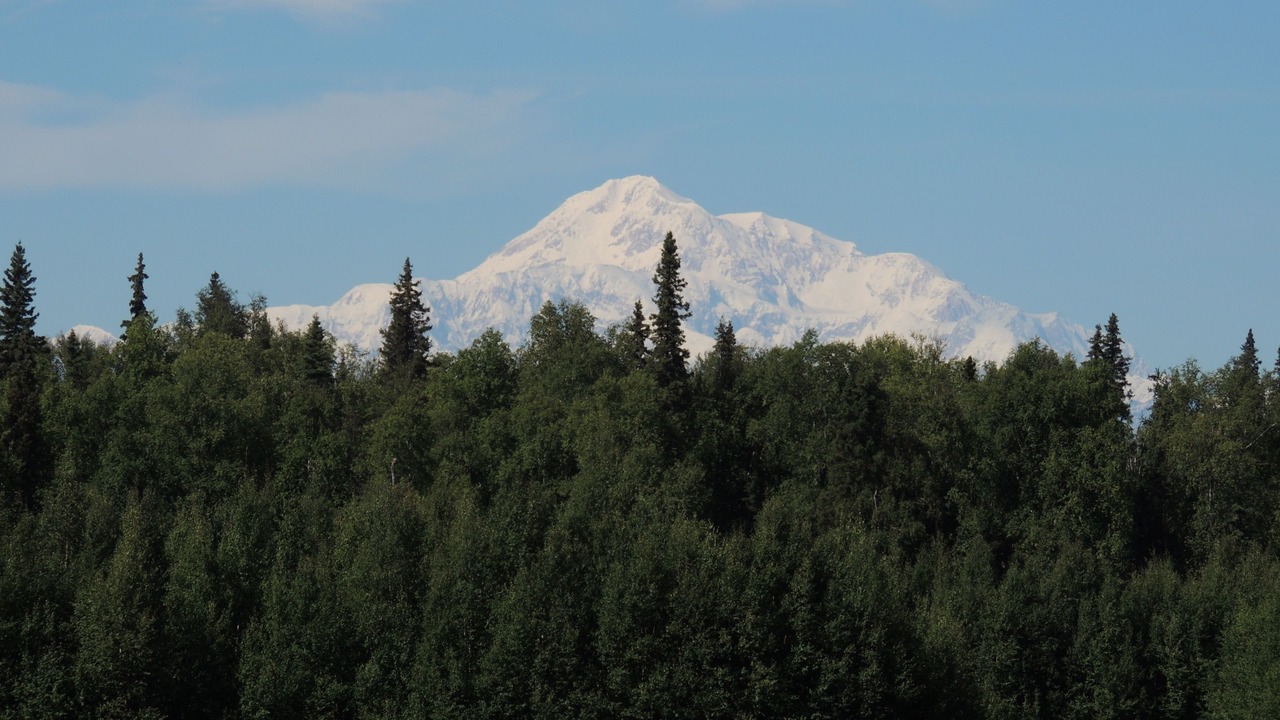 Photo of Others in Talkeetna