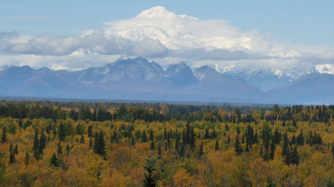 Photo of Others in Talkeetna