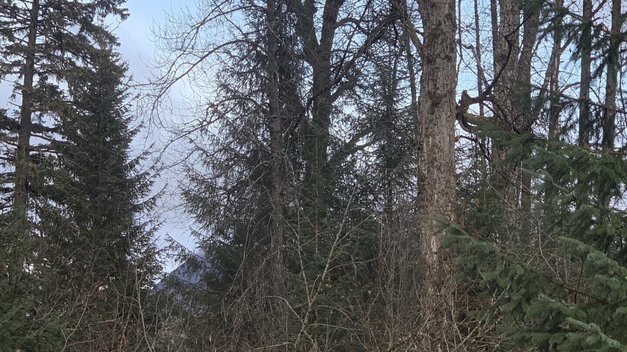 Photo of Outdoor in Bear Creek