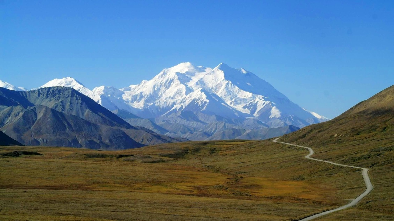 Photo of Others in Denali National Park