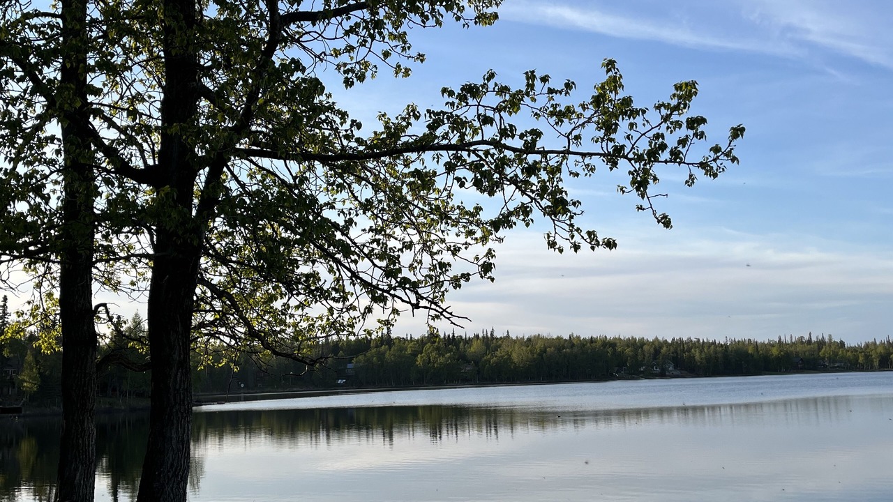 Photo of Others in Nikiski