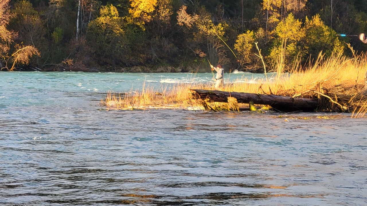 Photo of Others in Funny River