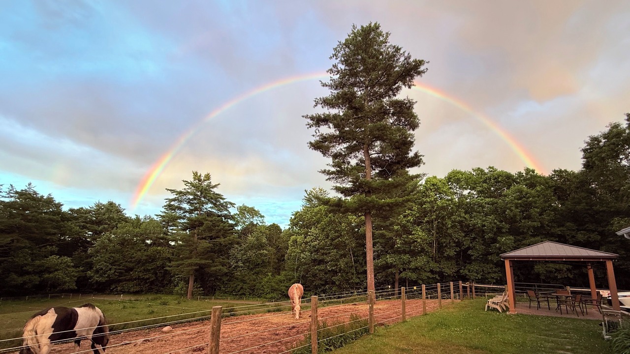 Photo of Others in Belchertown
