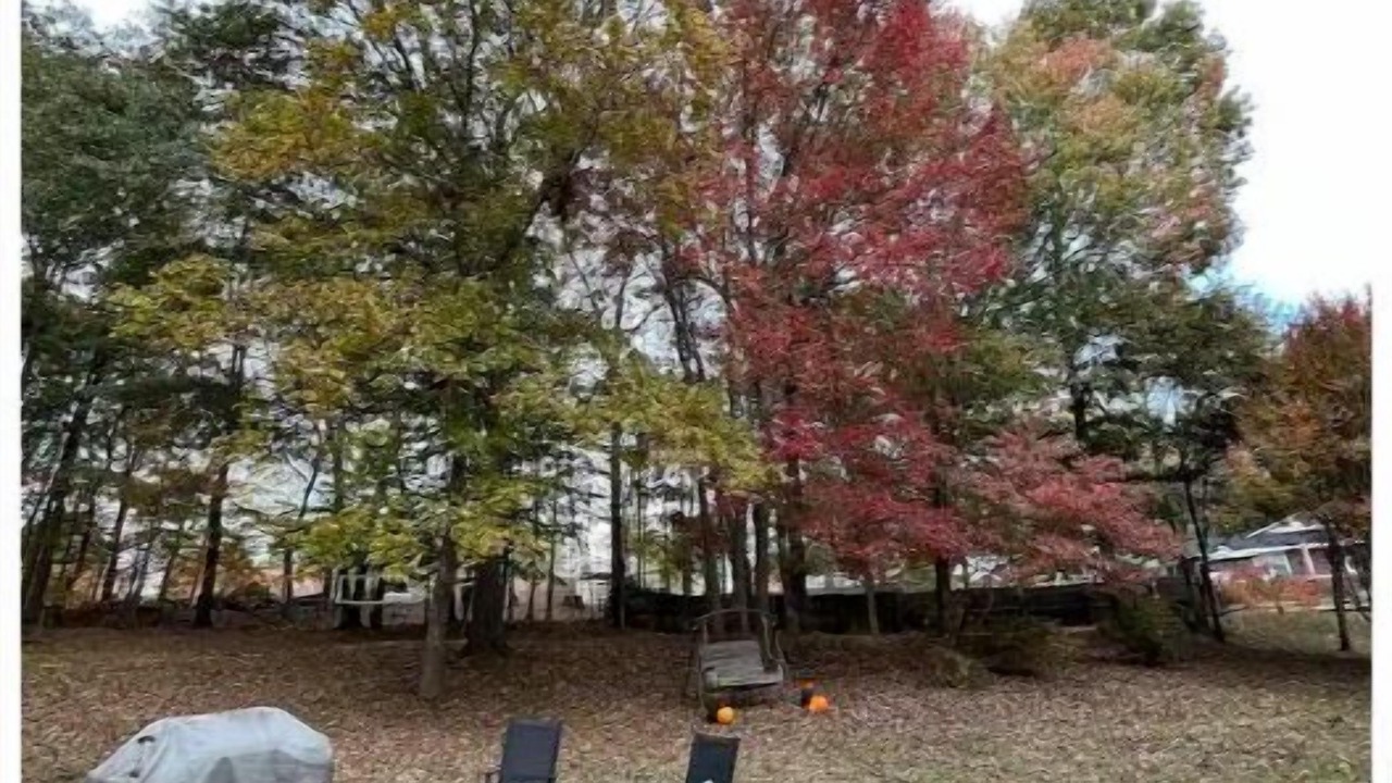 Photo of Outdoor in Roebuck