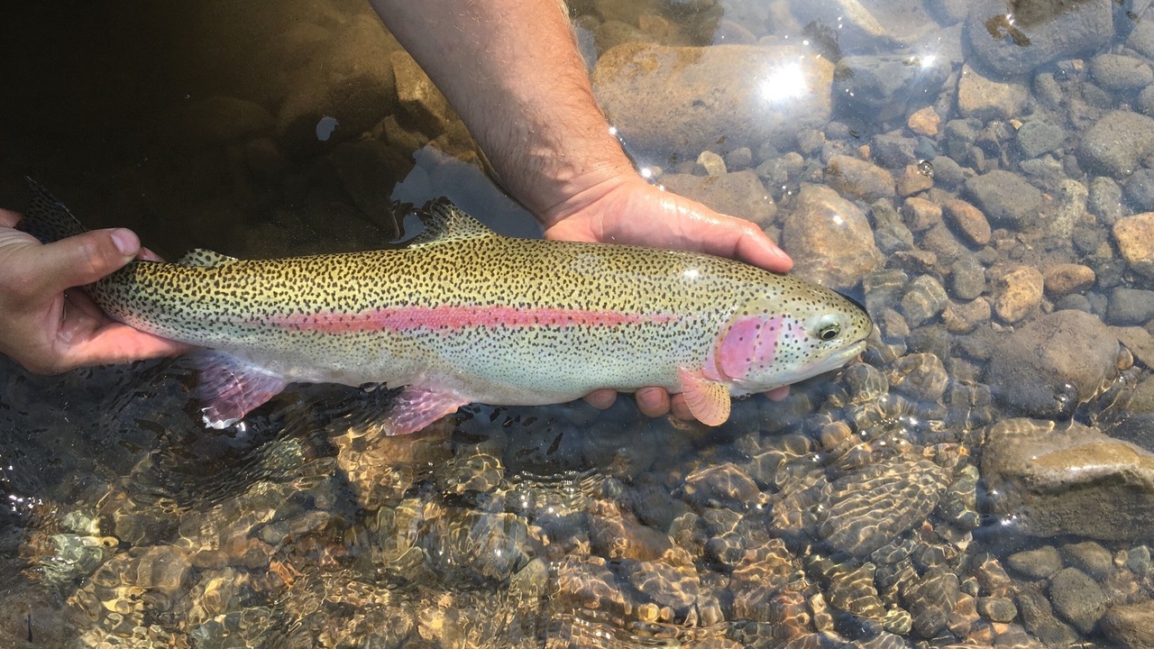 Photo of Outdoor in Soldotna