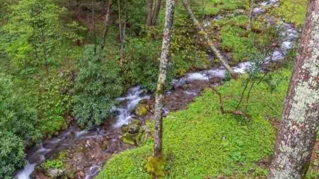 Photo of Outdoor in Walker-In-the-Hills