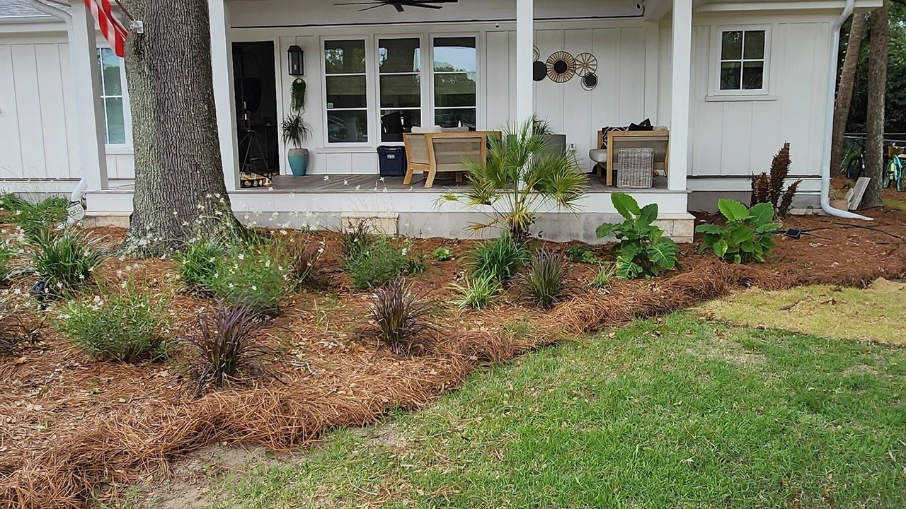 Photo of Outdoor in Isle of Palms