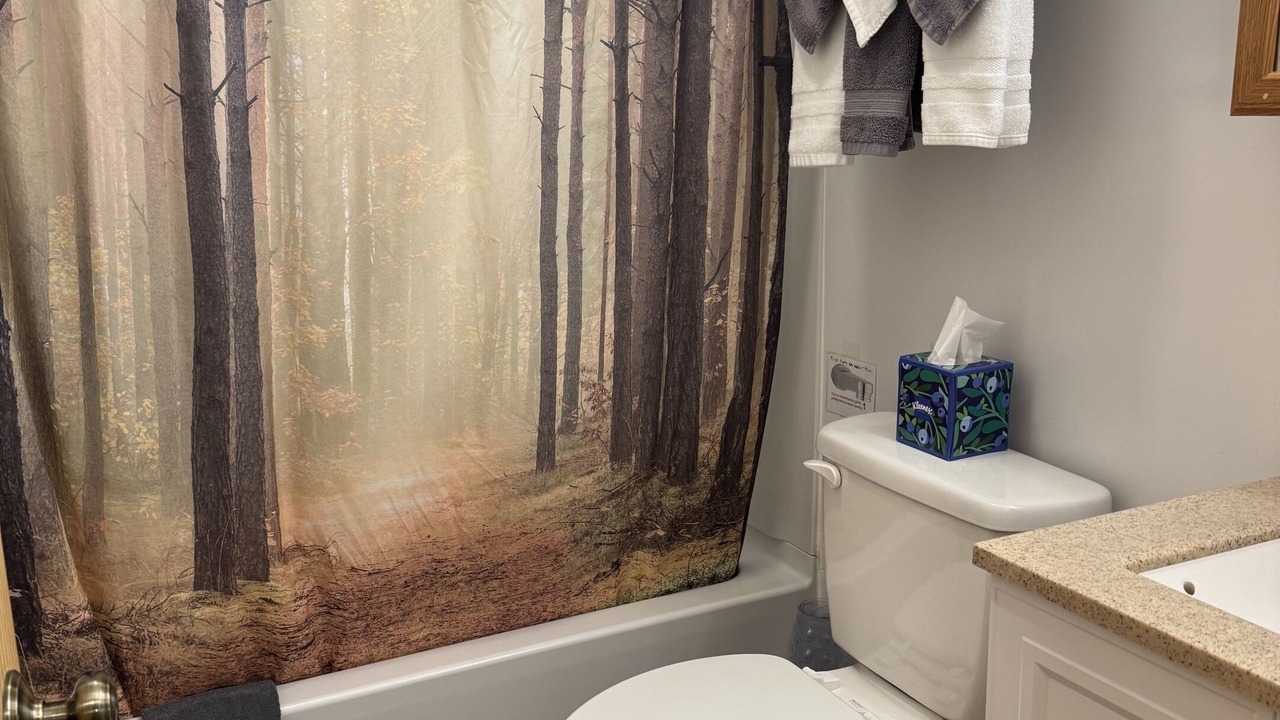 Photo of Bathroom in Talkeetna