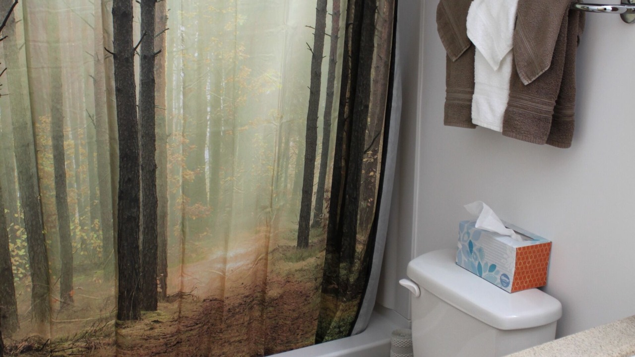 Photo of Bathroom in Talkeetna
