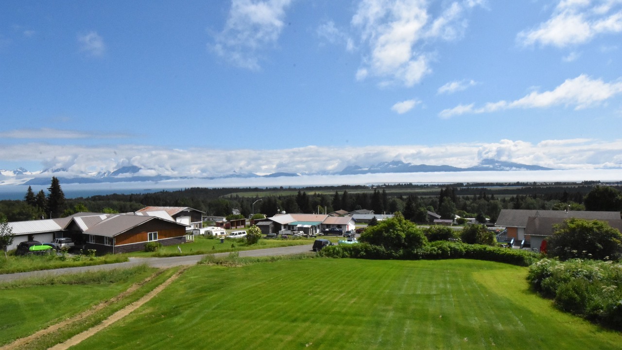 Photo of Others in Homer