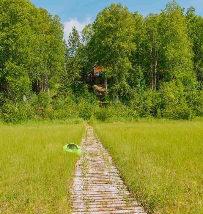 Photo of Outdoor in Susitna North