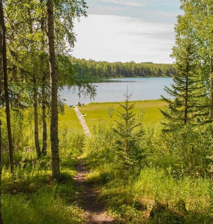 Photo of Outdoor in Susitna North
