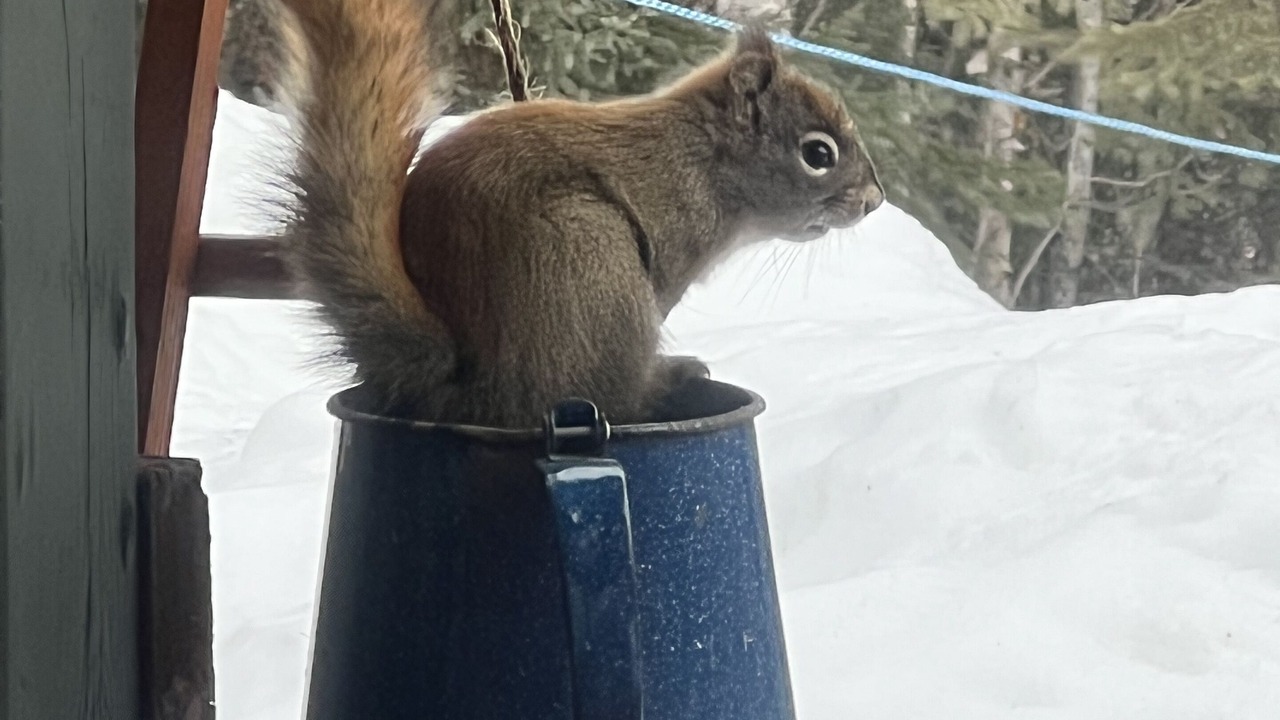 Photo of Others in Fairbanks
