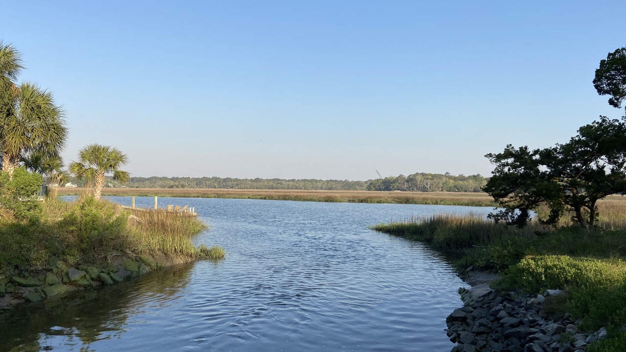 Photo of Outdoor in Edisto Island