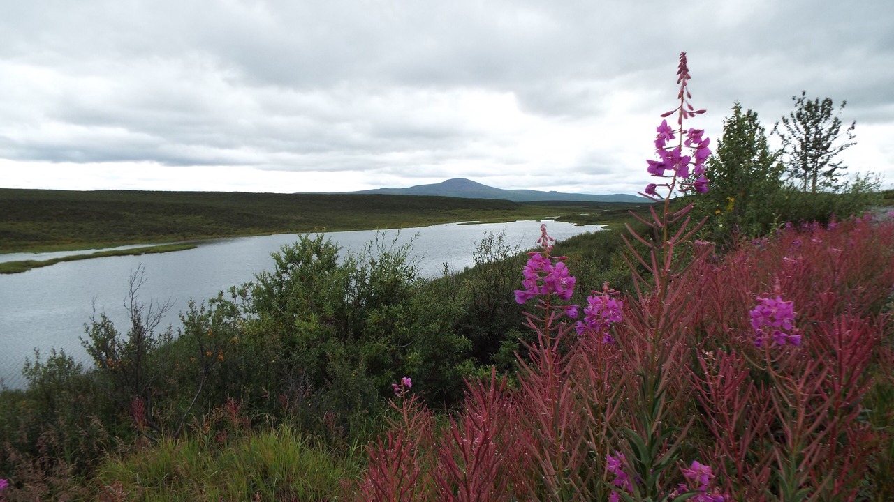 Photo of Outdoor in Fairbanks