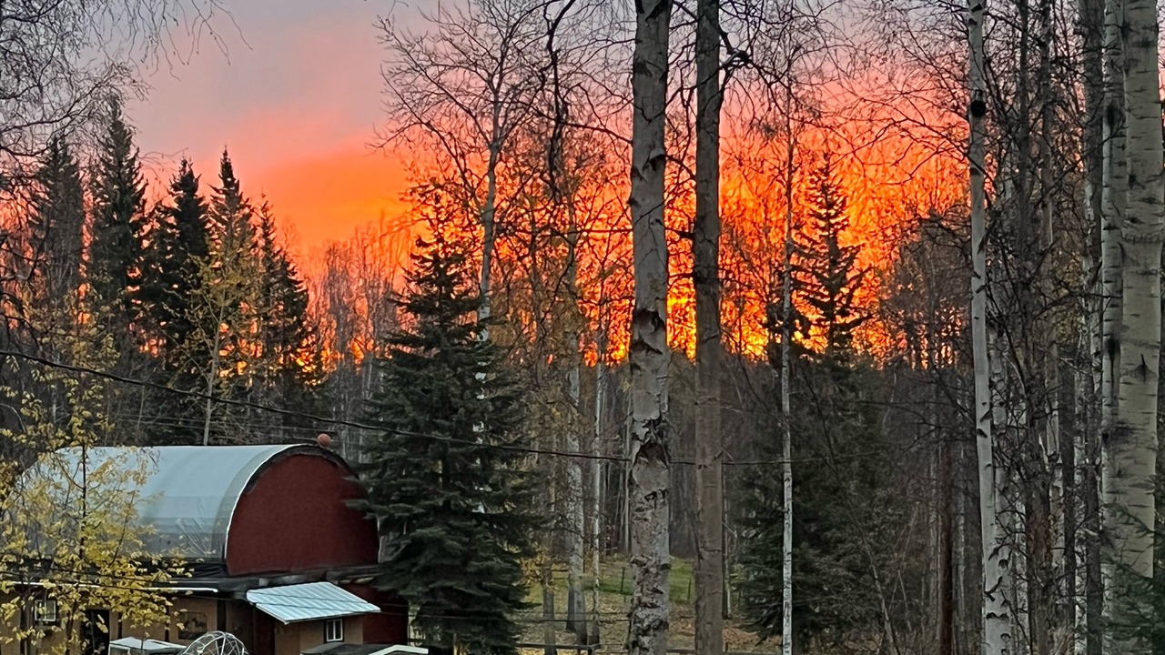 Photo of Outdoor in Fairbanks