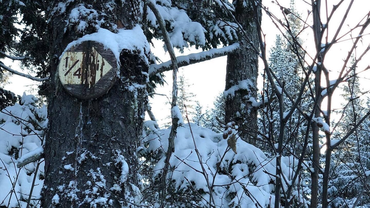 Photo of Outdoor in Bear Creek