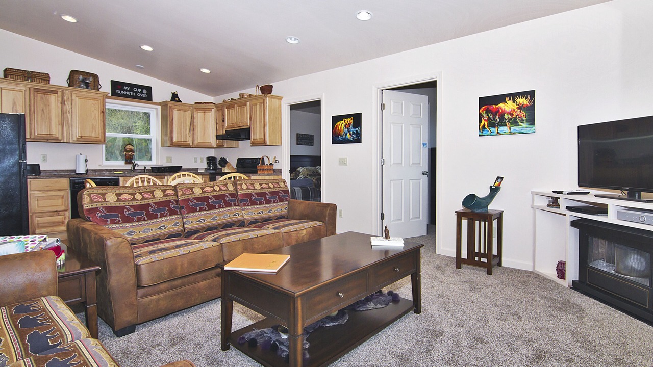 Photo of Livingroom in Homer