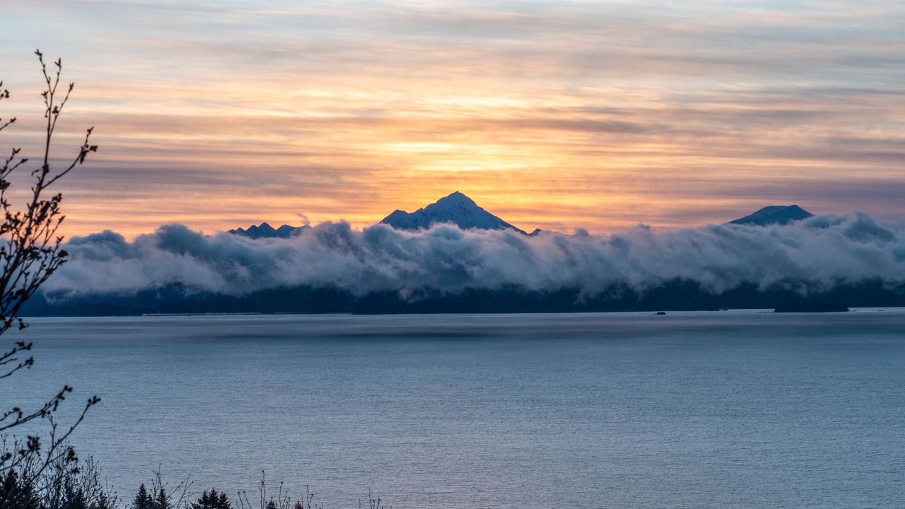 Photo of Others in Homer