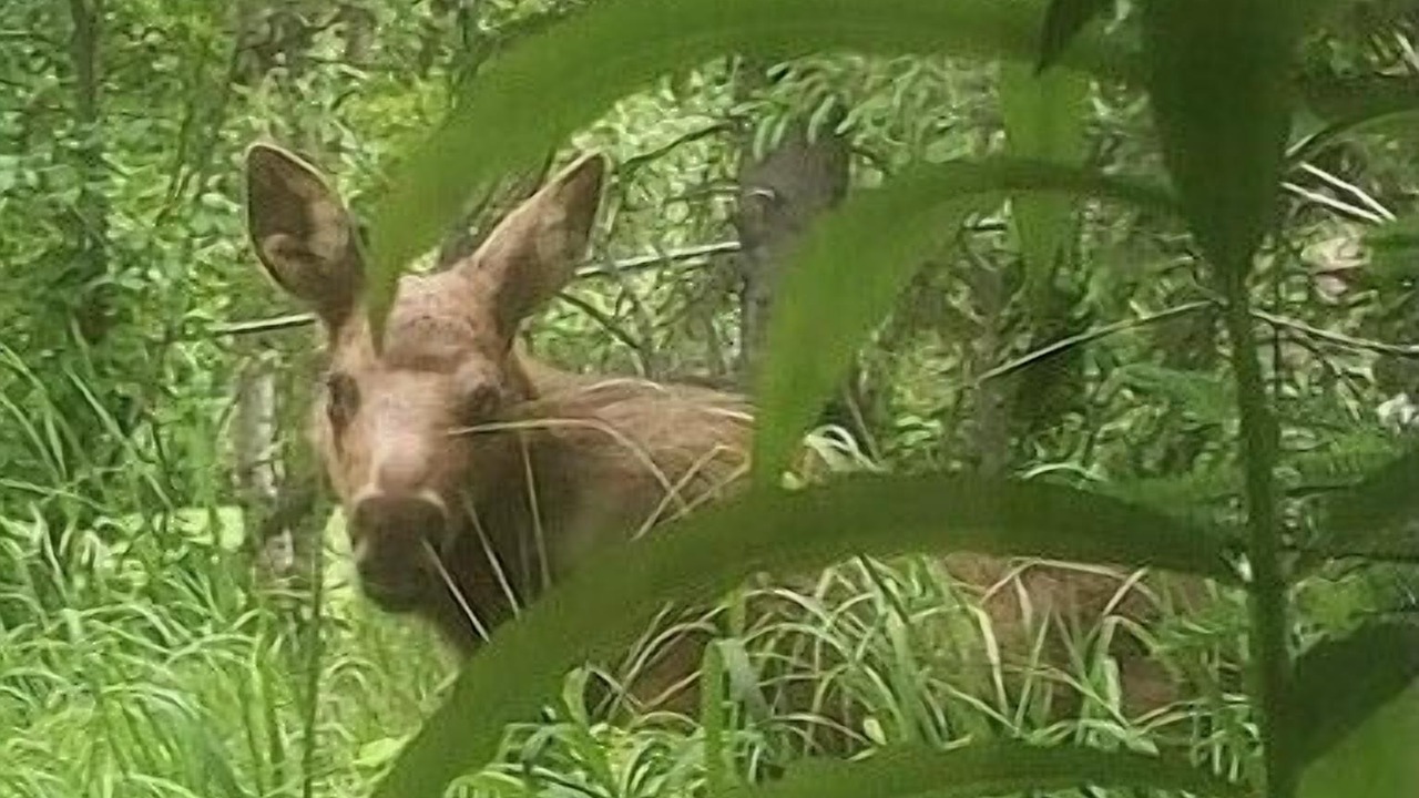 Photo of Others in Rabbit Creek