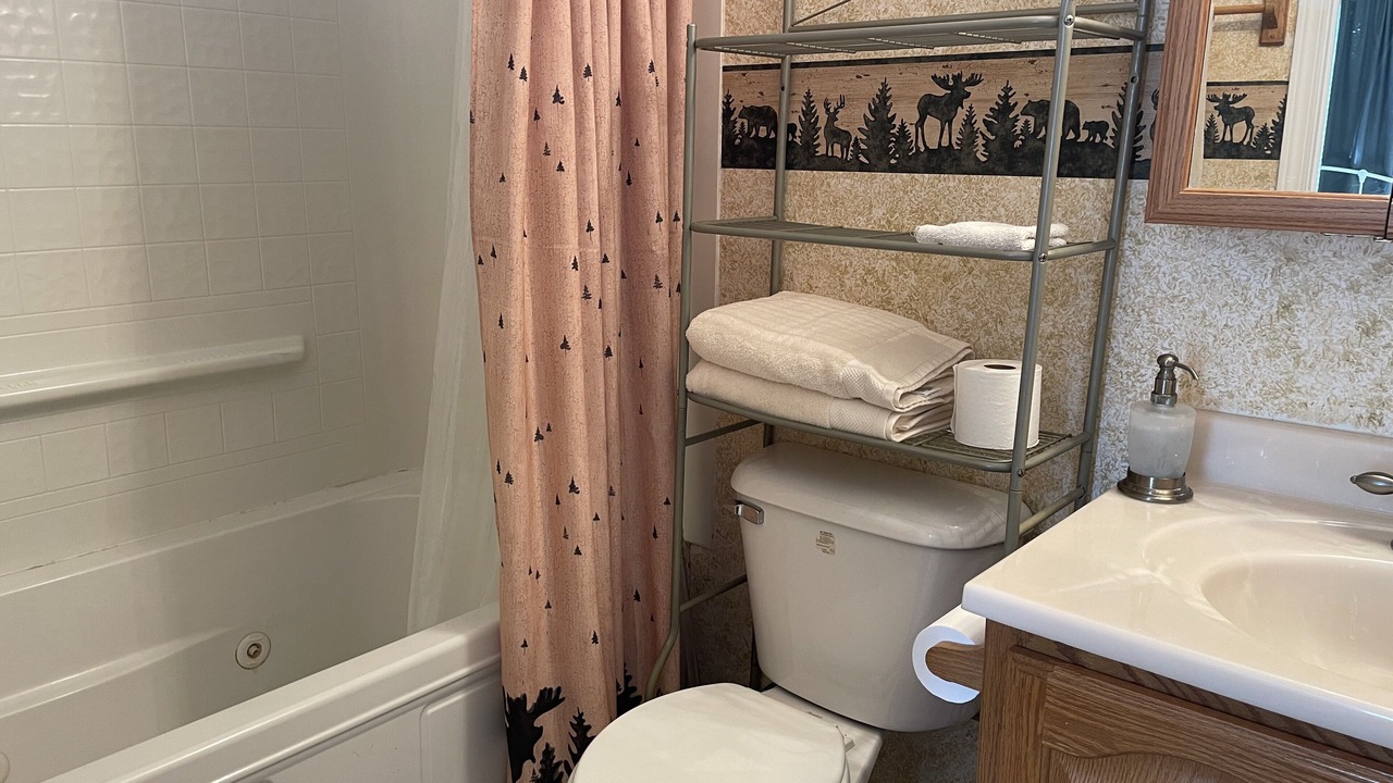 Photo of Bathroom in Cohoe