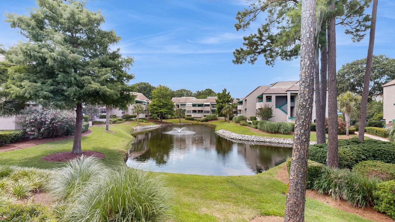 Photo of Outdoor in Palmetto Dunes