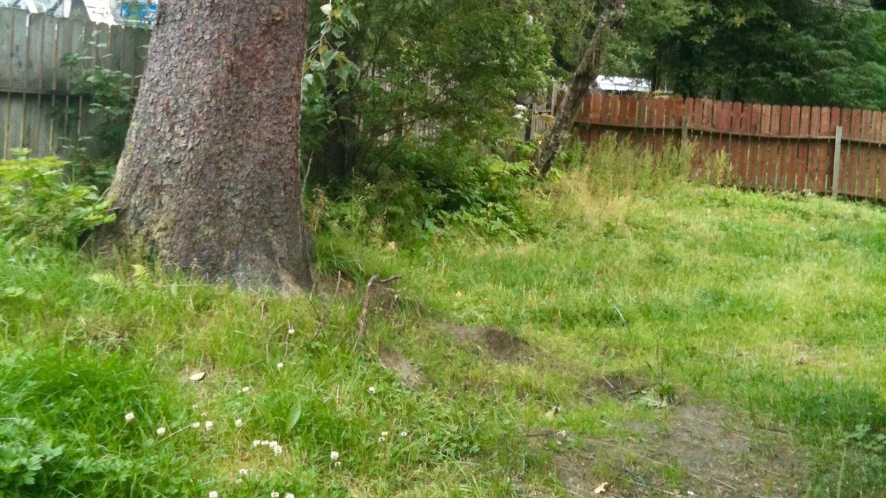 Photo of Outdoor in Mendenhaven