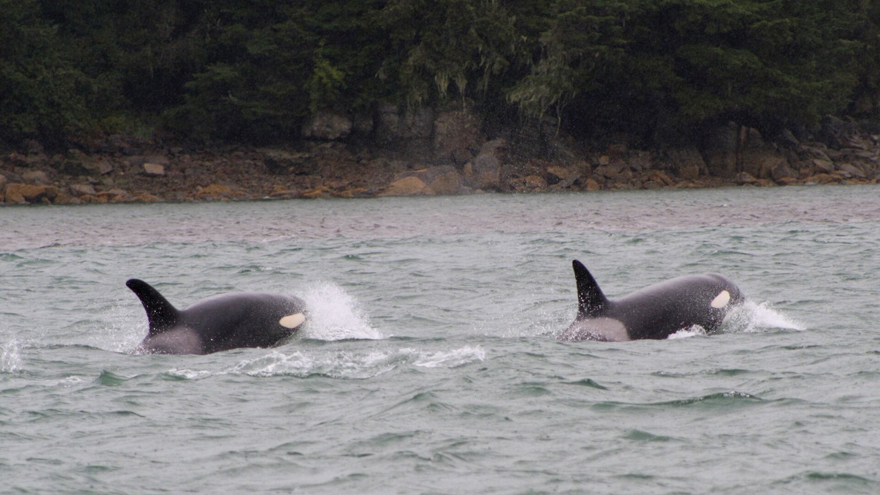 Photo of Others in Mendenhaven