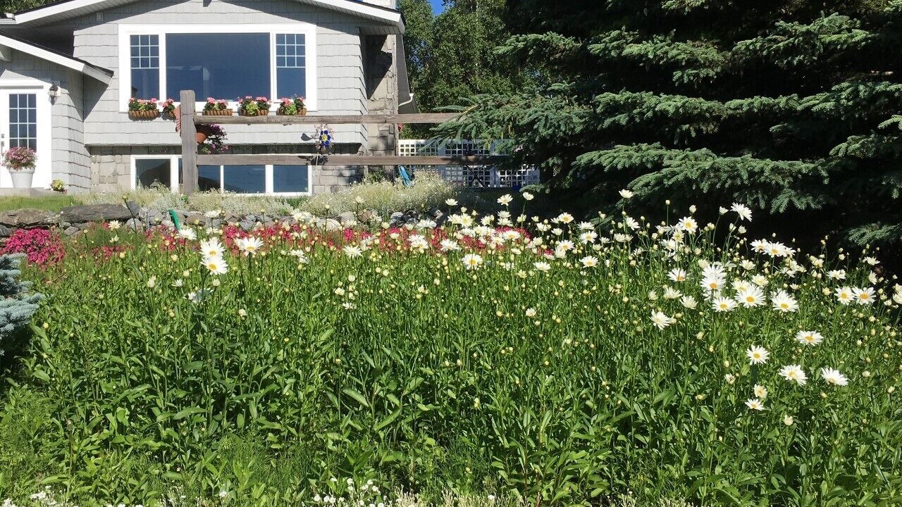 Photo of Outdoor in Sand Lake