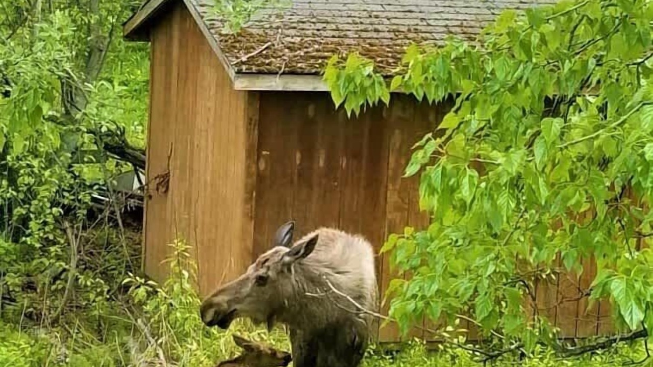 Photo of Others in Old Seward - Oceanview