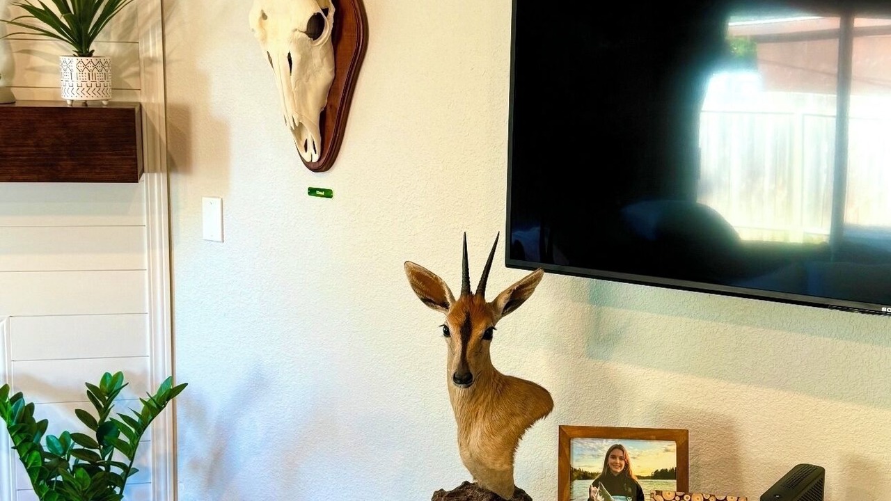 Photo of Bedroom in Soldotna