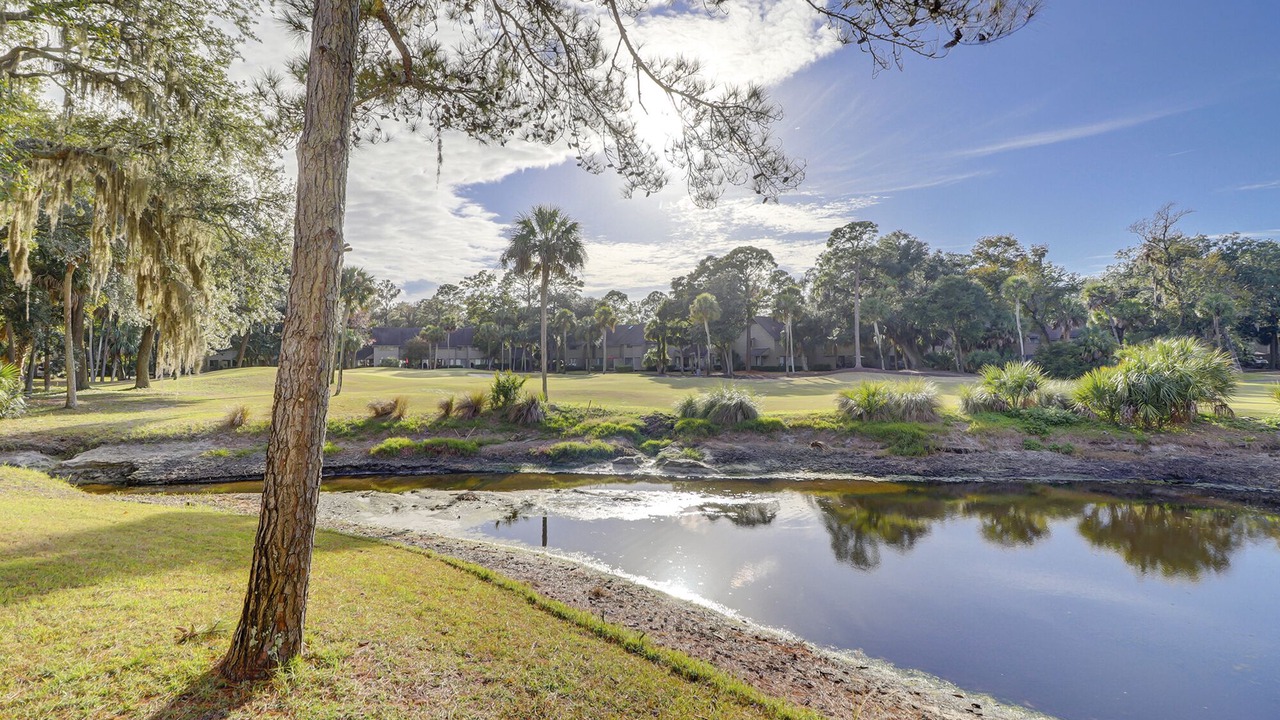 Photo of Outdoor in Shipyard Plantation