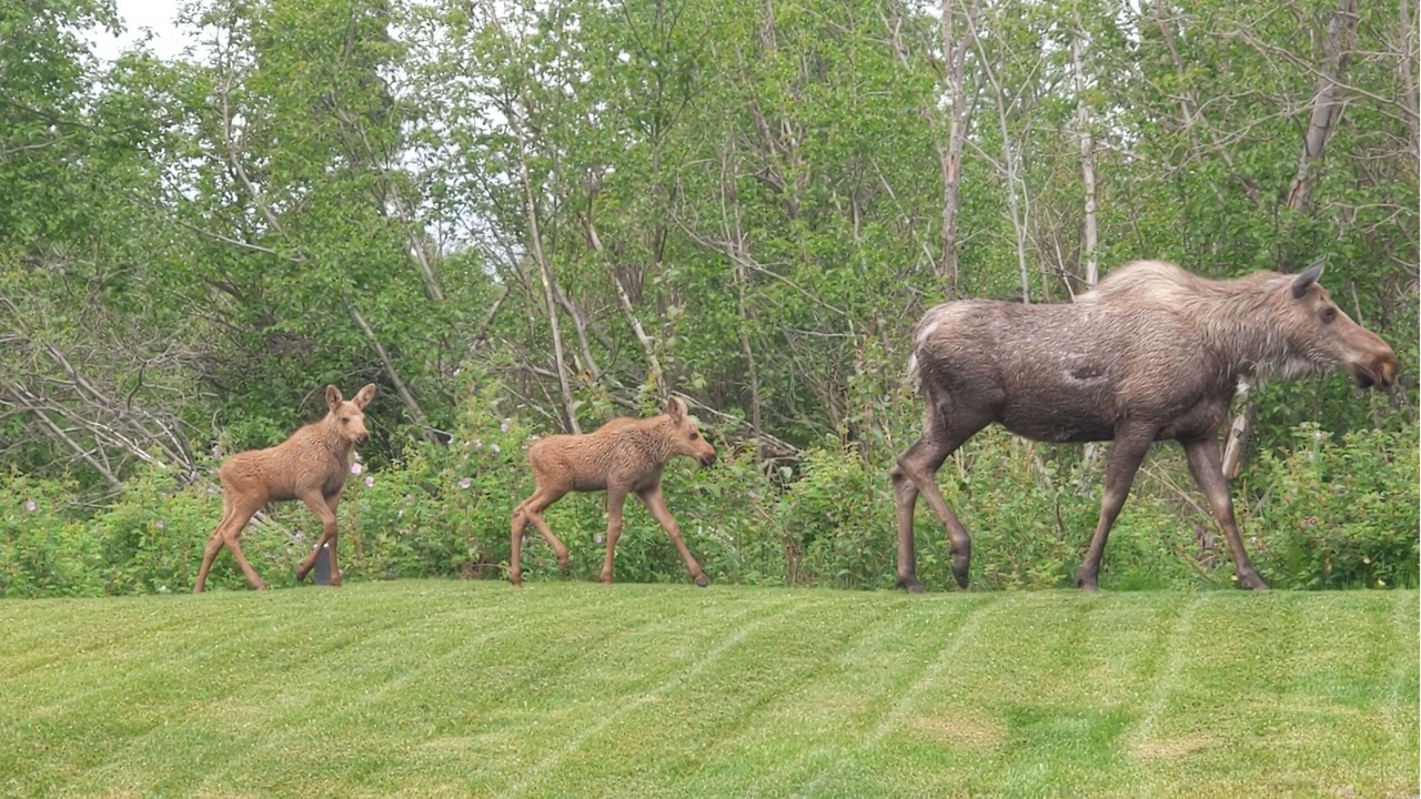 Photo of Outdoor in Sterling