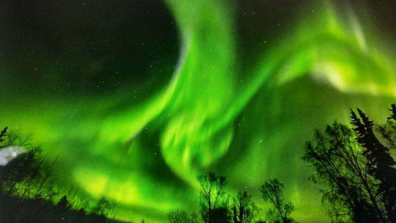 Photo of Others in Fairbanks