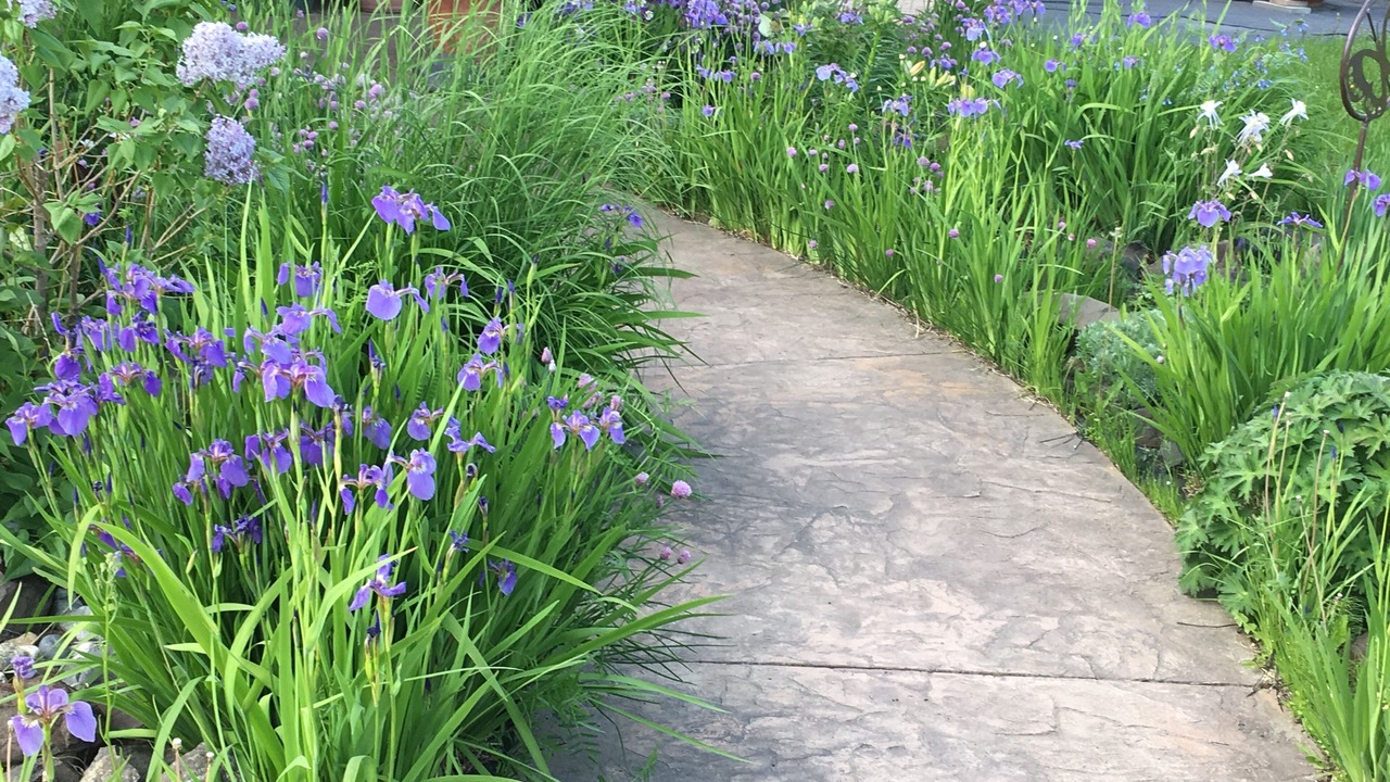 Photo of Outdoor in Badger