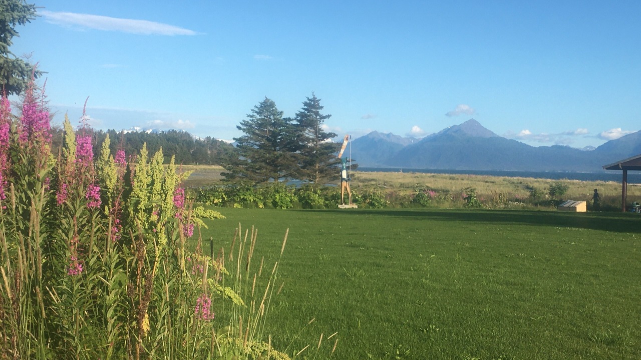 Photo of Outdoor in Homer