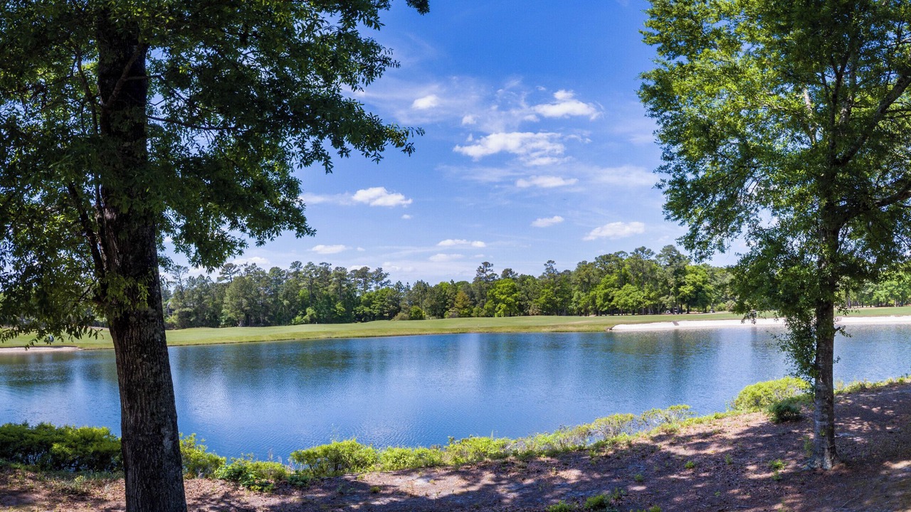 Photo of Others in Pawleys Island
