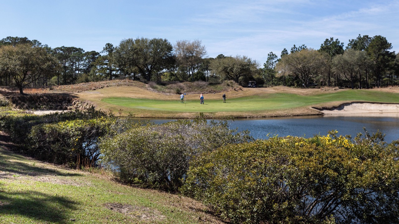 Photo of Others in Pawleys Island