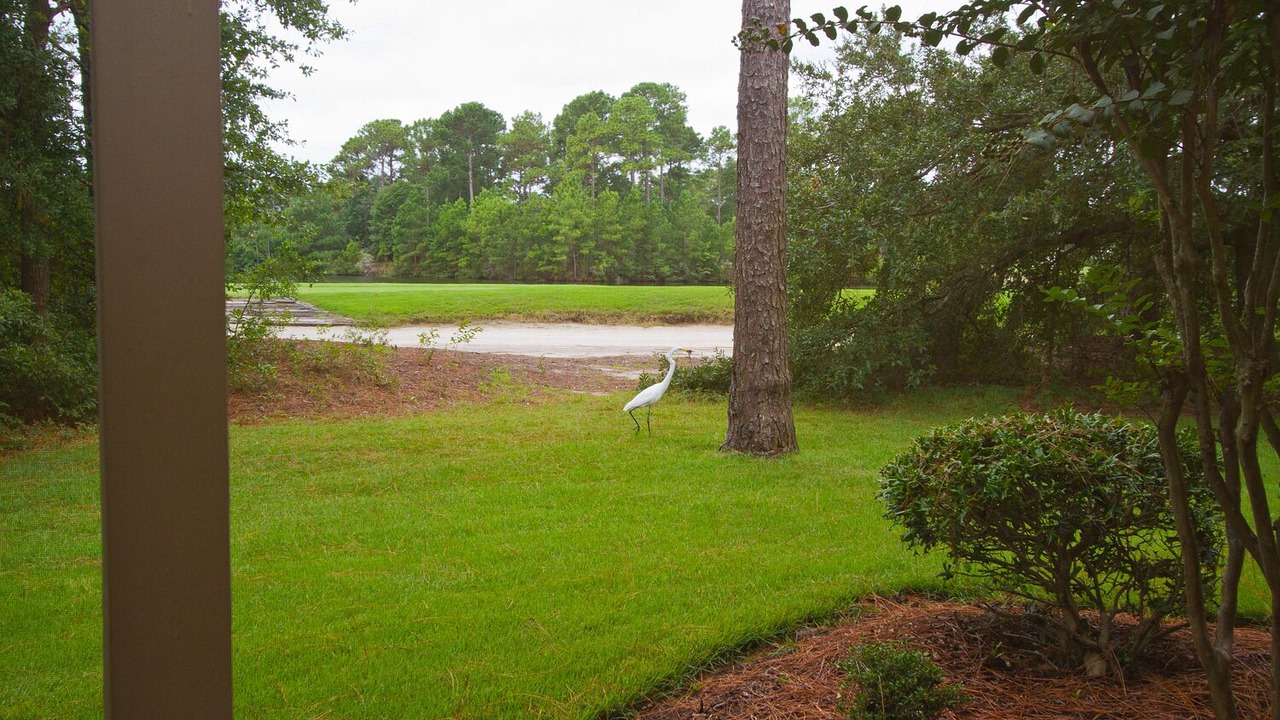 Photo of Others in Pawleys Island