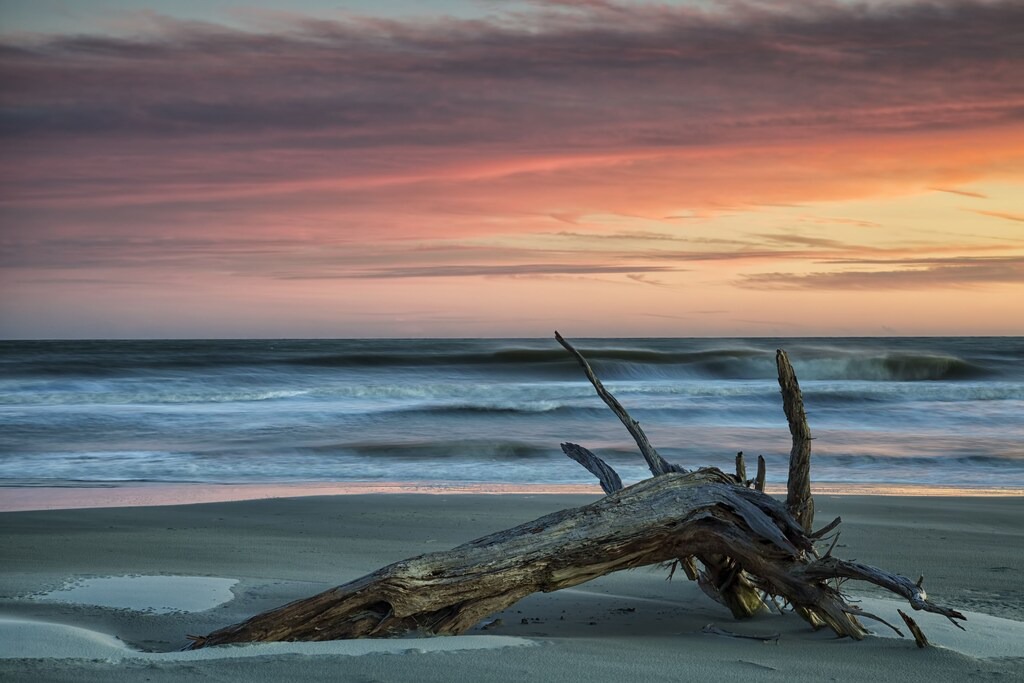 Photo of Outdoor in Palmetto Dunes