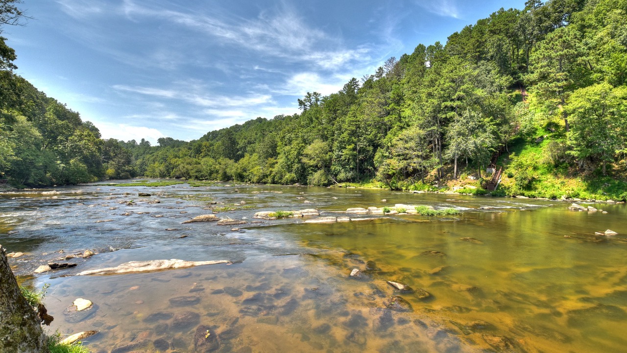 Photo of Others in Ellijay
