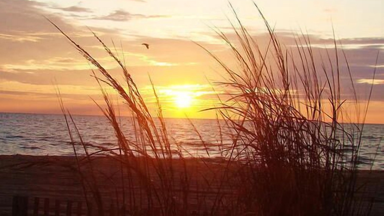 Photo of Others in North Ocean City