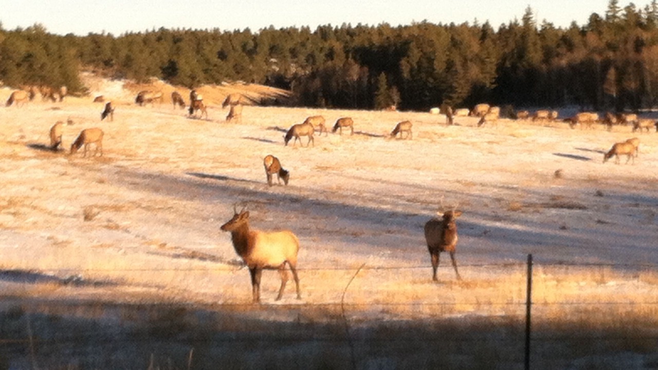 Photo of Others in Spring Valley